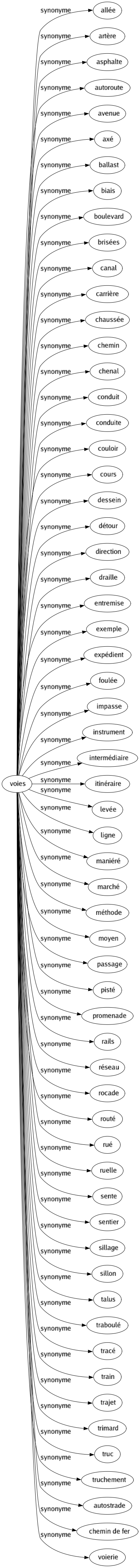 Synonyme de Voies : Allée Artère Asphalte Autoroute Avenue Axé Ballast Biais Boulevard Brisées Canal Carrière Chaussée Chemin Chenal Conduit Conduite Couloir Cours Dessein Détour Direction Draille Entremise Exemple Expédient Foulée Impasse Instrument Intermédiaire Itinéraire Levée Ligne Maniéré Marché Méthode Moyen Passage Pisté Promenade Rails Réseau Rocade Routé Rué Ruelle Sente Sentier Sillage Sillon Talus Traboulé Tracé Train Trajet Trimard Truc Truchement Autostrade Chemin de fer Voierie 