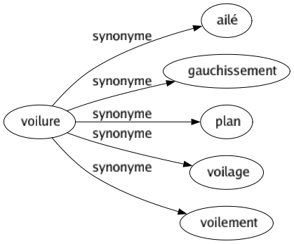 Synonyme de Voilure : Ailé Gauchissement Plan Voilage Voilement 