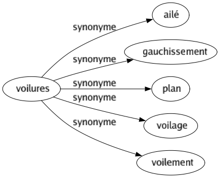 Synonyme de Voilures : Ailé Gauchissement Plan Voilage Voilement 