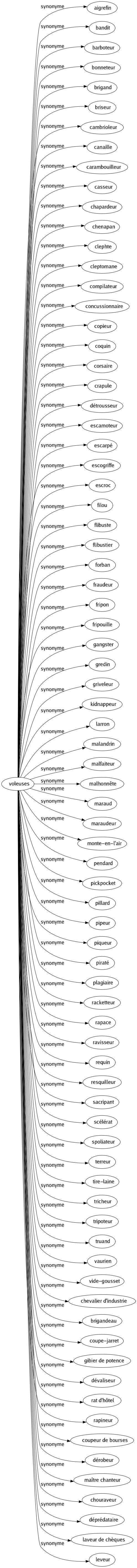 Synonyme de Voleuses : Aigrefin Bandit Barboteur Bonneteur Brigand Briseur Cambrioleur Canaille Carambouilleur Casseur Chapardeur Chenapan Clephte Cleptomane Compilateur Concussionnaire Copieur Coquin Corsaire Crapule Détrousseur Escamoteur Escarpé Escogriffe Escroc Filou Flibuste Flibustier Forban Fraudeur Fripon Fripouille Gangster Gredin Griveleur Kidnappeur Larron Malandrin Malfaiteur Malhonnête Maraud Maraudeur Monte-en-l'air Pendard Pickpocket Pillard Pipeur Piqueur Piraté Plagiaire Racketteur Rapace Ravisseur Requin Resquilleur Sacripant Scélérat Spoliateur Terreur Tire-laine Tricheur Tripoteur Truand Vaurien Vide-gousset Chevalier d'industrie Brigandeau Coupe-jarret Gibier de potence Dévaliseur Rat d'hôtel Rapineur Coupeur de bourses Dérobeur Maître chanteur Chouraveur Déprédataire Laveur de chèques Leveur 