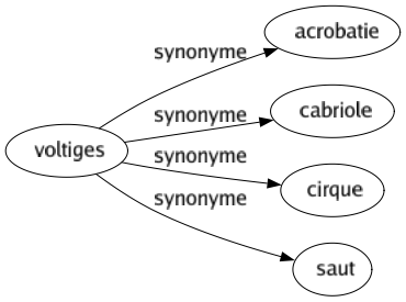 Synonyme de Voltiges : Acrobatie Cabriole Cirque Saut 