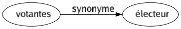 Synonyme de Votantes : Électeur 