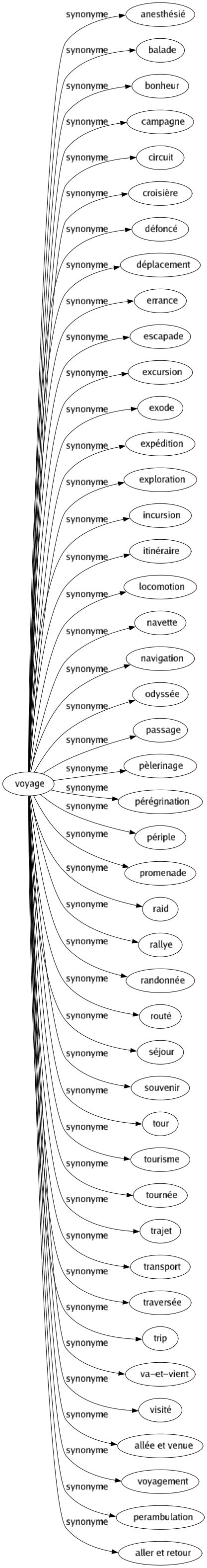 Synonyme de Voyage : Anesthésié Balade Bonheur Campagne Circuit Croisière Défoncé Déplacement Errance Escapade Excursion Exode Expédition Exploration Incursion Itinéraire Locomotion Navette Navigation Odyssée Passage Pèlerinage Pérégrination Périple Promenade Raid Rallye Randonnée Routé Séjour Souvenir Tour Tourisme Tournée Trajet Transport Traversée Trip Va-et-vient Visité Allée et venue Voyagement Perambulation Aller et retour 