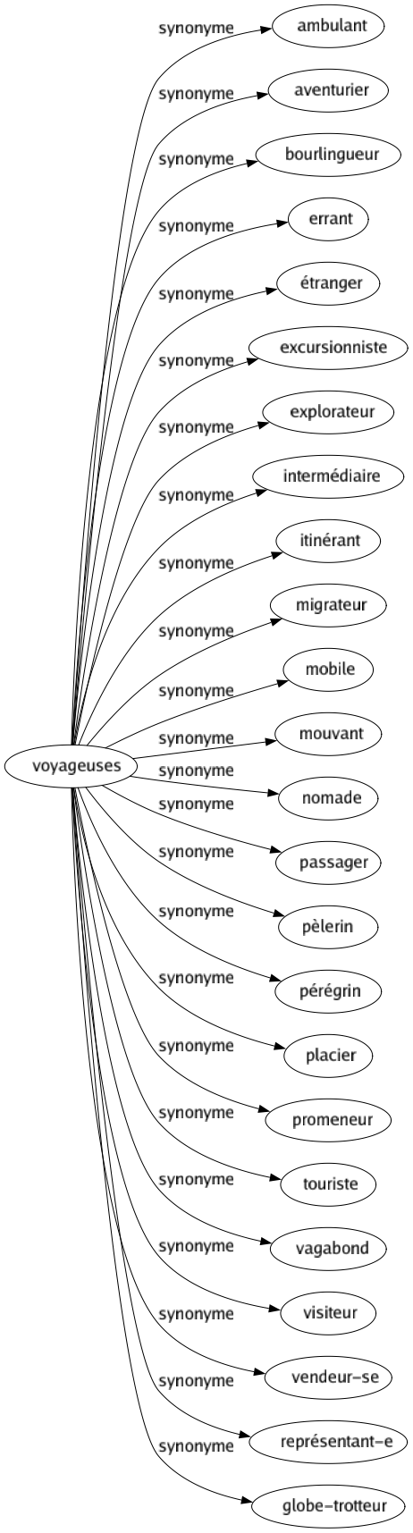 Synonyme de Voyageuses : Ambulant Aventurier Bourlingueur Errant Étranger Excursionniste Explorateur Intermédiaire Itinérant Migrateur Mobile Mouvant Nomade Passager Pèlerin Pérégrin Placier Promeneur Touriste Vagabond Visiteur Vendeur-se Représentant-e Globe-trotteur 