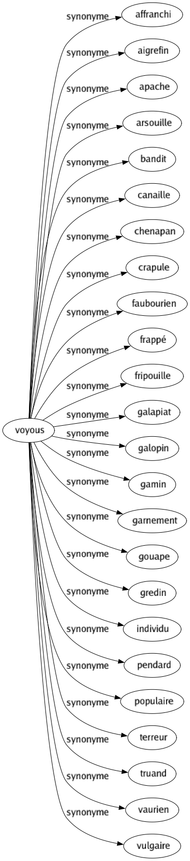 Synonyme de Voyous : Affranchi Aigrefin Apache Arsouille Bandit Canaille Chenapan Crapule Faubourien Frappé Fripouille Galapiat Galopin Gamin Garnement Gouape Gredin Individu Pendard Populaire Terreur Truand Vaurien Vulgaire 