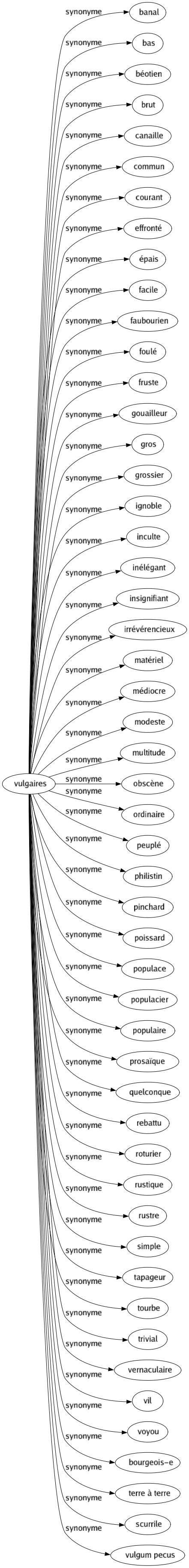 Synonyme de Vulgaires : Banal Bas Béotien Brut Canaille Commun Courant Effronté Épais Facile Faubourien Foulé Fruste Gouailleur Gros Grossier Ignoble Inculte Inélégant Insignifiant Irrévérencieux Matériel Médiocre Modeste Multitude Obscène Ordinaire Peuplé Philistin Pinchard Poissard Populace Populacier Populaire Prosaïque Quelconque Rebattu Roturier Rustique Rustre Simple Tapageur Tourbe Trivial Vernaculaire Vil Voyou Bourgeois-e Terre à terre Scurrile Vulgum pecus 