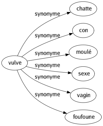 Synonyme de Vulve : Chatte Con Moulé Sexe Vagin Foufoune 