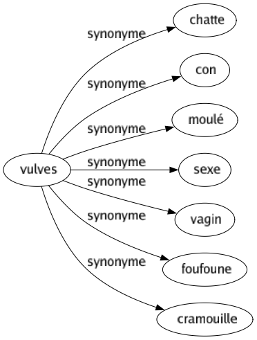 Synonyme de Vulves : Chatte Con Moulé Sexe Vagin Foufoune Cramouille 