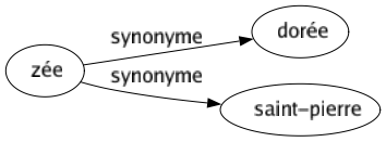 Synonyme de Zée : Dorée Saint-pierre 