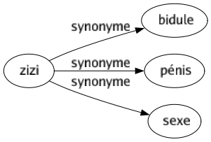 Synonyme de Zizi : Bidule Pénis Sexe 